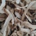 香格里拉野生松茸白片