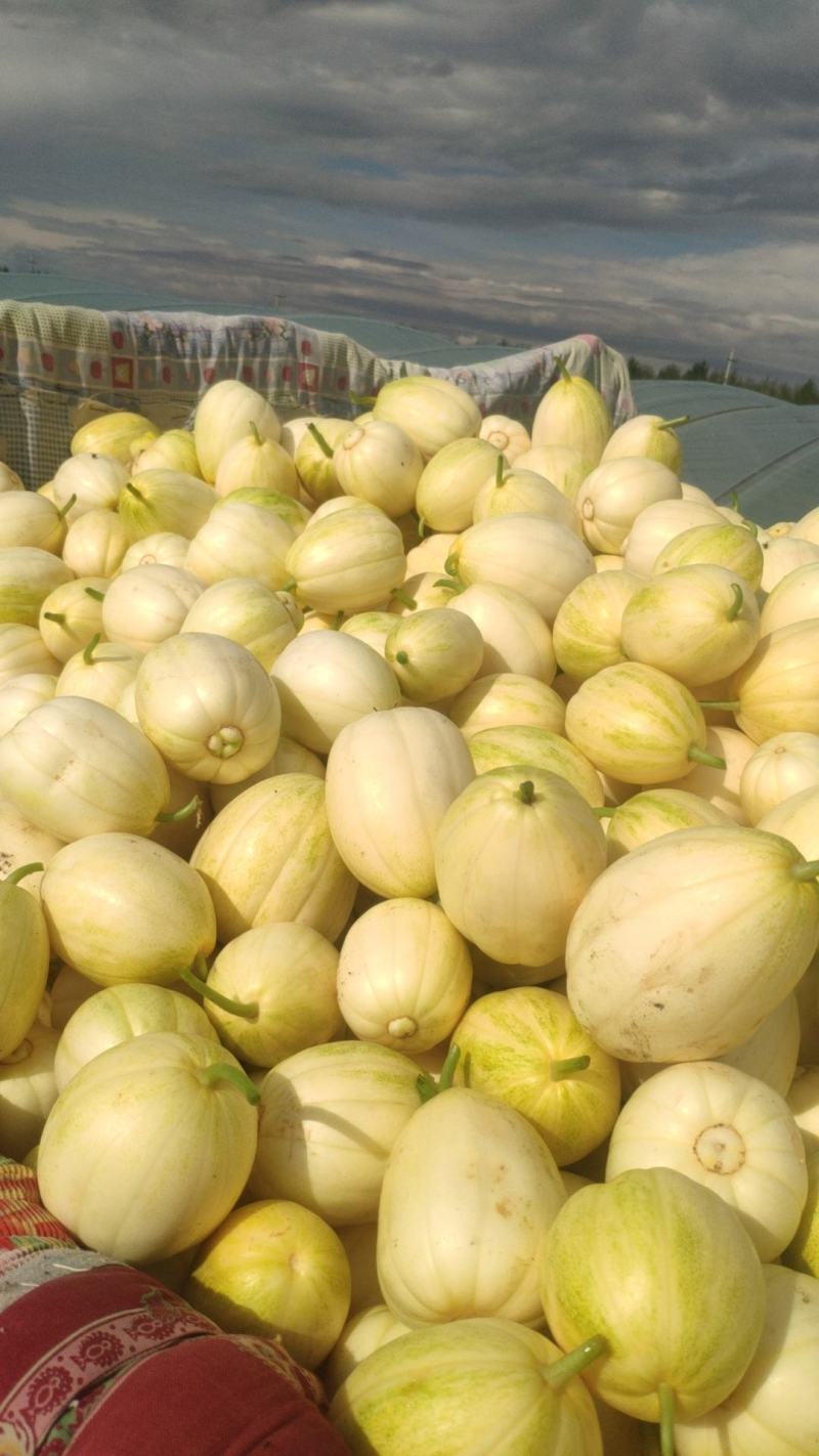 香瓜，白菜，红黄元葱，胡萝卜，水果萝卜，青菜，土豆，窝瓜