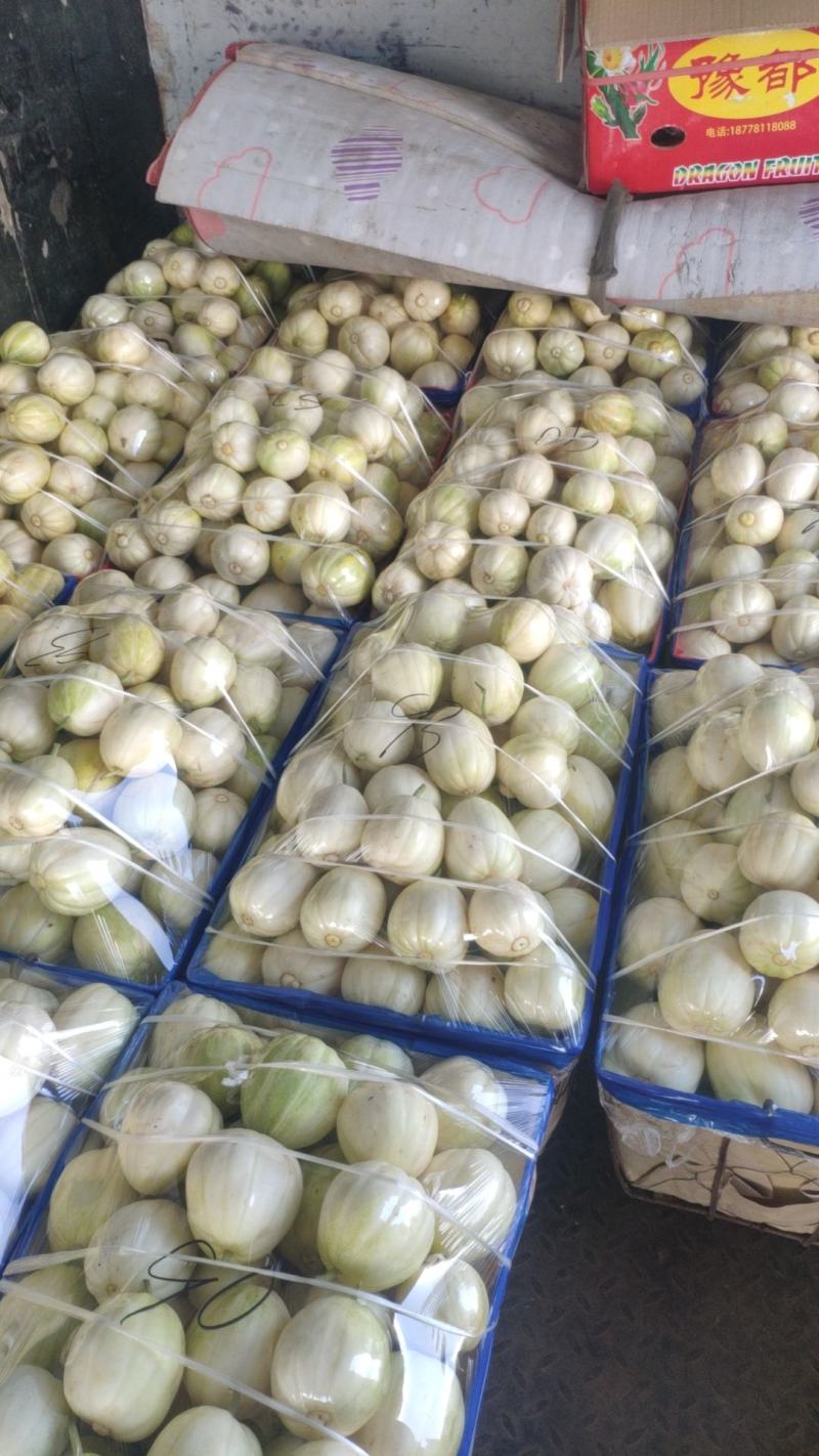 香瓜，白菜，红黄元葱，胡萝卜，水果萝卜，青菜，土豆，窝瓜