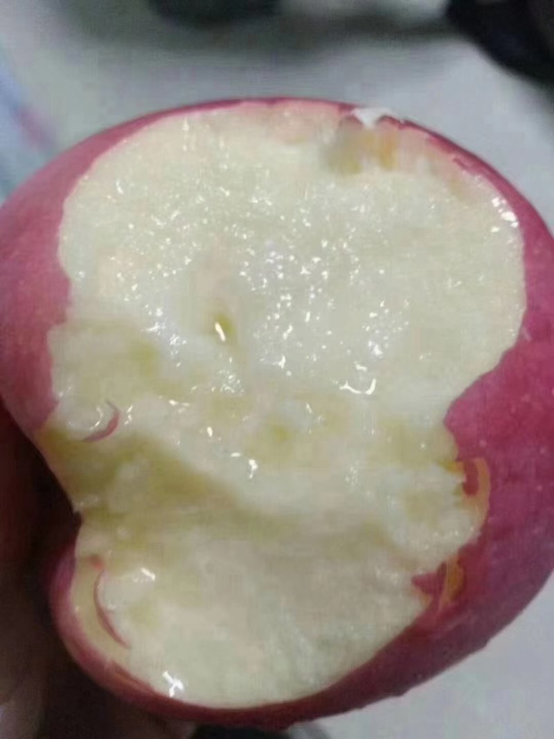 甘肃花牛，富士