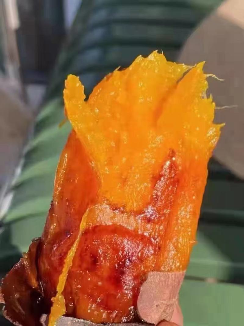 河北烟薯25蜜薯烤薯专用产地直发优选红薯软糯地瓜沙地红皮