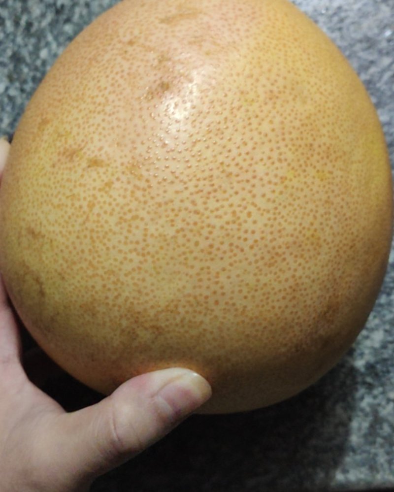 三红柚子