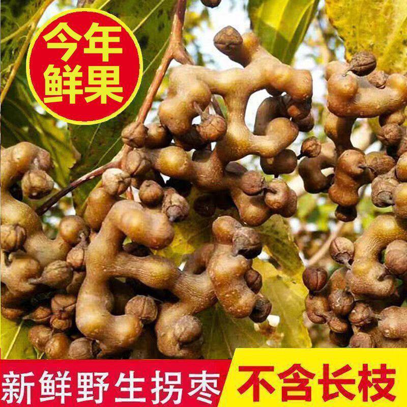 湖北野生拐枣批发一件代发酒厂对接量大价低货源稳定供应