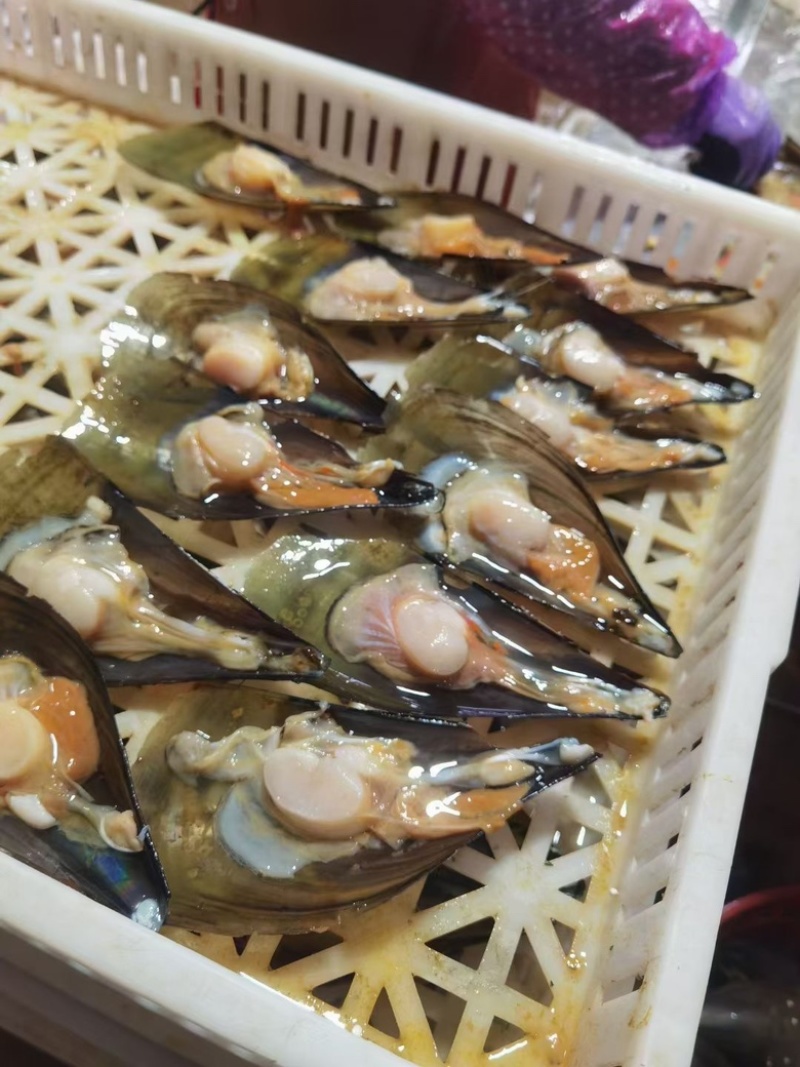 带子，半壳