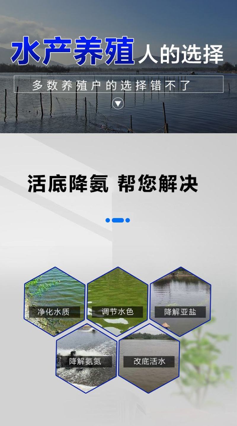 普旺水产厂家未来渔活底降氨水产消毒类