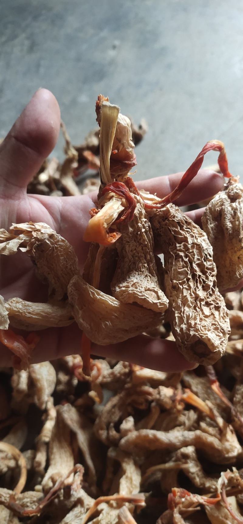 纯野生干天麻春麻出苔天麻带杆天麻药食两用