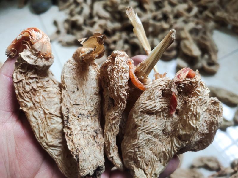 纯野生干天麻春麻出苔天麻带杆天麻药食两用
