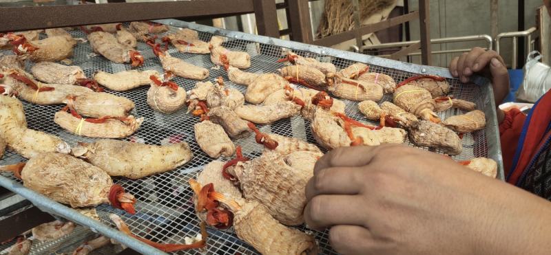 纯野生干天麻春麻出苔天麻带杆天麻药食两用