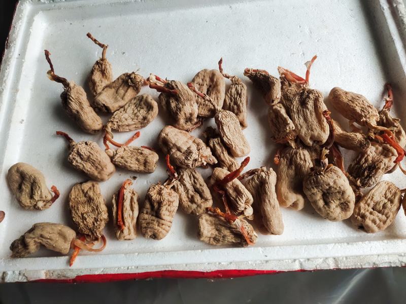 纯野生干天麻春麻出苔天麻带杆天麻药食两用