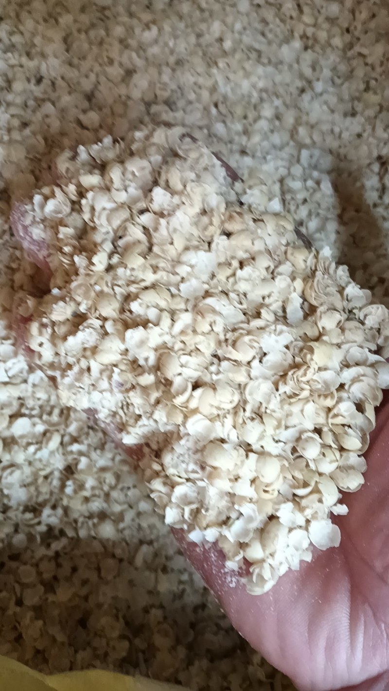 新鲜大黄豆壳，牛羊饲料大大量有货，欢迎联系要货