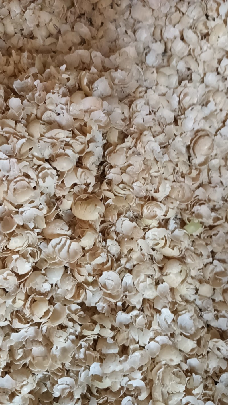 新鲜大黄豆壳，牛羊饲料大大量有货，欢迎联系要货