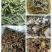干豆角，农家豆角干，嫩，干量大优惠