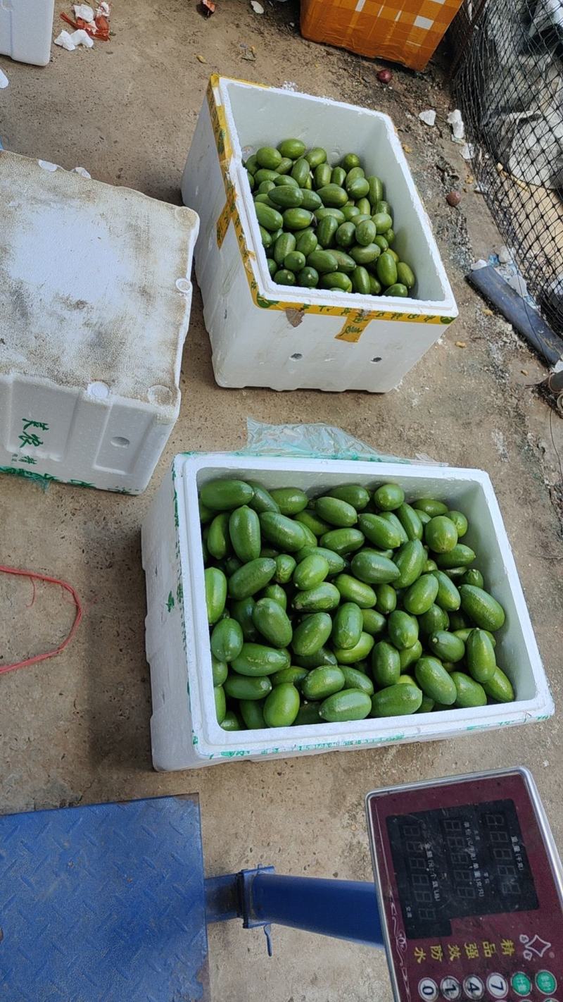 大量子弹头香水，有需要的老板来对接