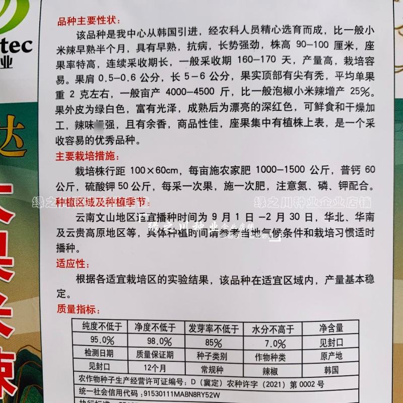 云南热销大果小米辣种子大果米辣十号泡椒种子韩国引进早熟