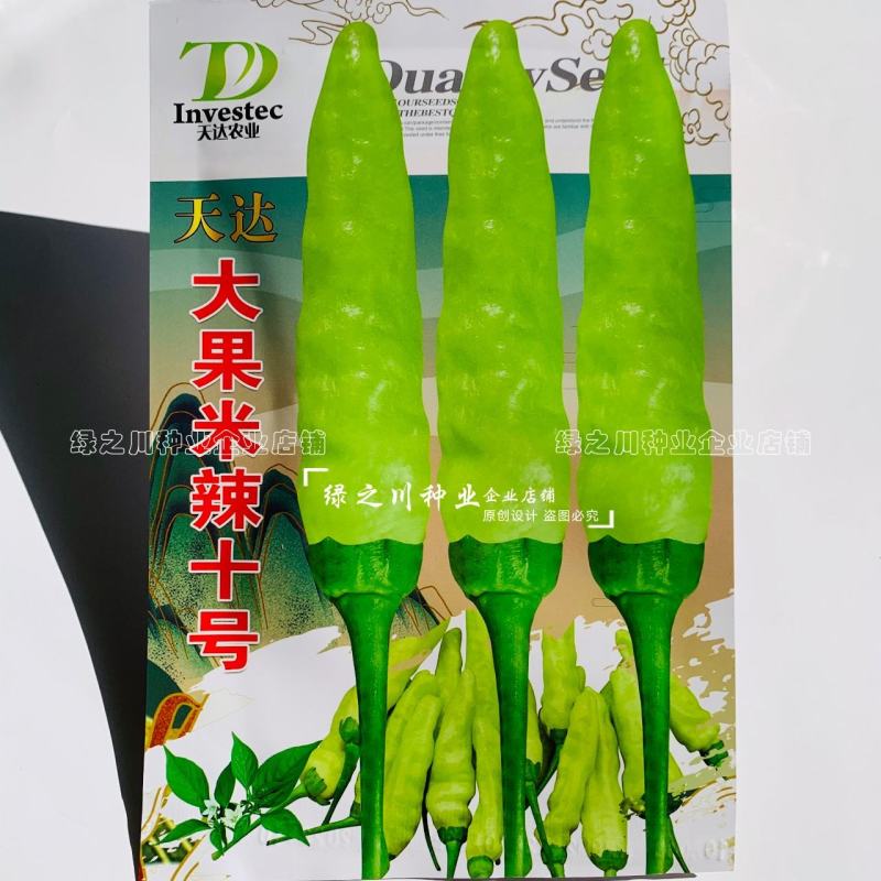 云南热销大果小米辣种子大果米辣十号泡椒种子韩国引进早熟