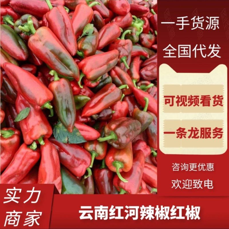 云南红河辣椒红辣椒货源充足全国发货对接各大批发商