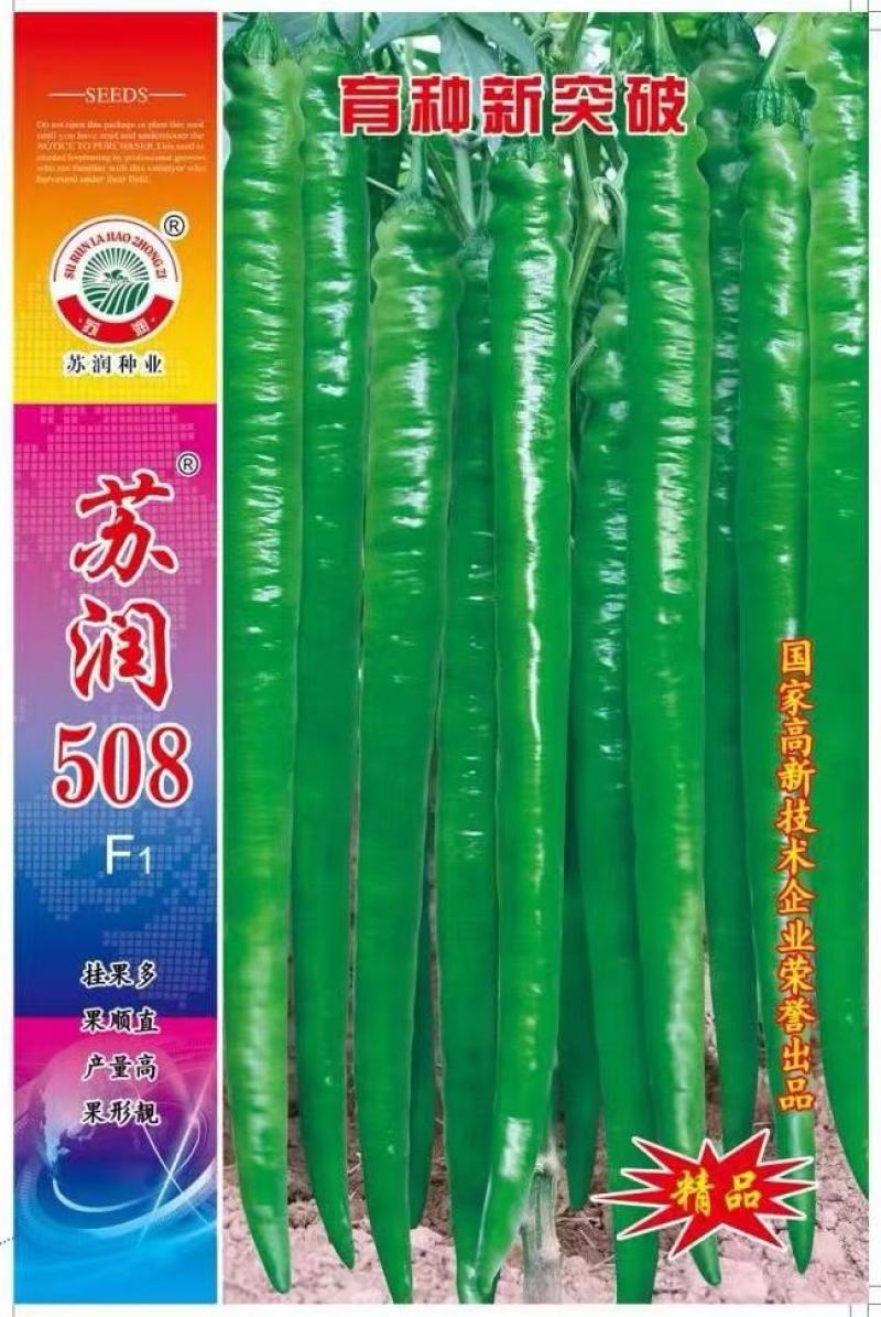 线椒种子苏润508长果线椒早中熟挂果多抗病椒长40