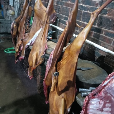 山羊肉