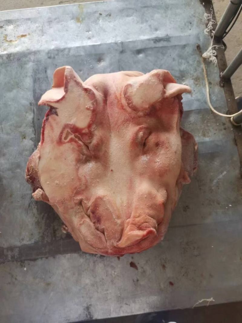 带肉猪头骨，每个5.6斤