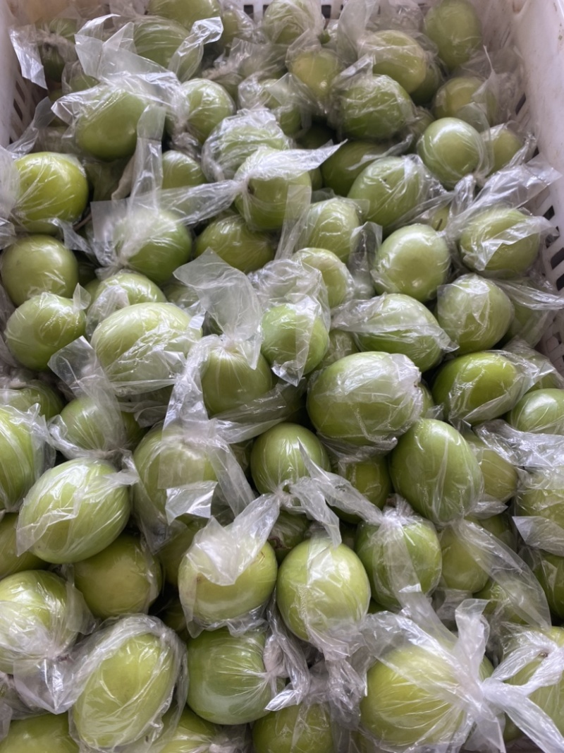 大青枣密丝枣1月底上市产地直供代收代发，电商，平台，市适