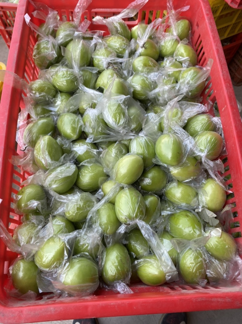 大青枣密丝枣1月底上市产地直供代收代发，电商，平台，市适