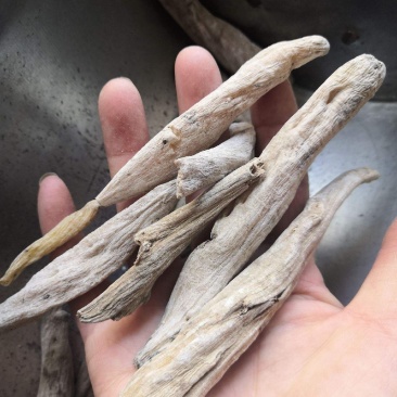 紫茉莉根，新货无硫无熏蒸产地直供，质量保证，冷背药材大全