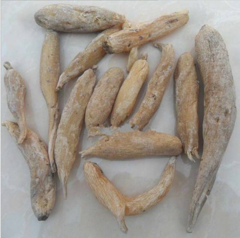 紫茉莉根，新货无硫无熏蒸产地直供，质量保证，冷背药材大全
