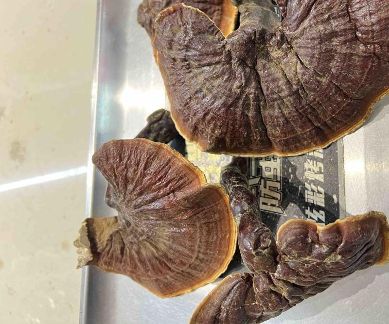 高山白林芝，纯白心浓浓香味，