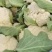 松花菜小米粒安徽青梗白面花菜货源足价格低