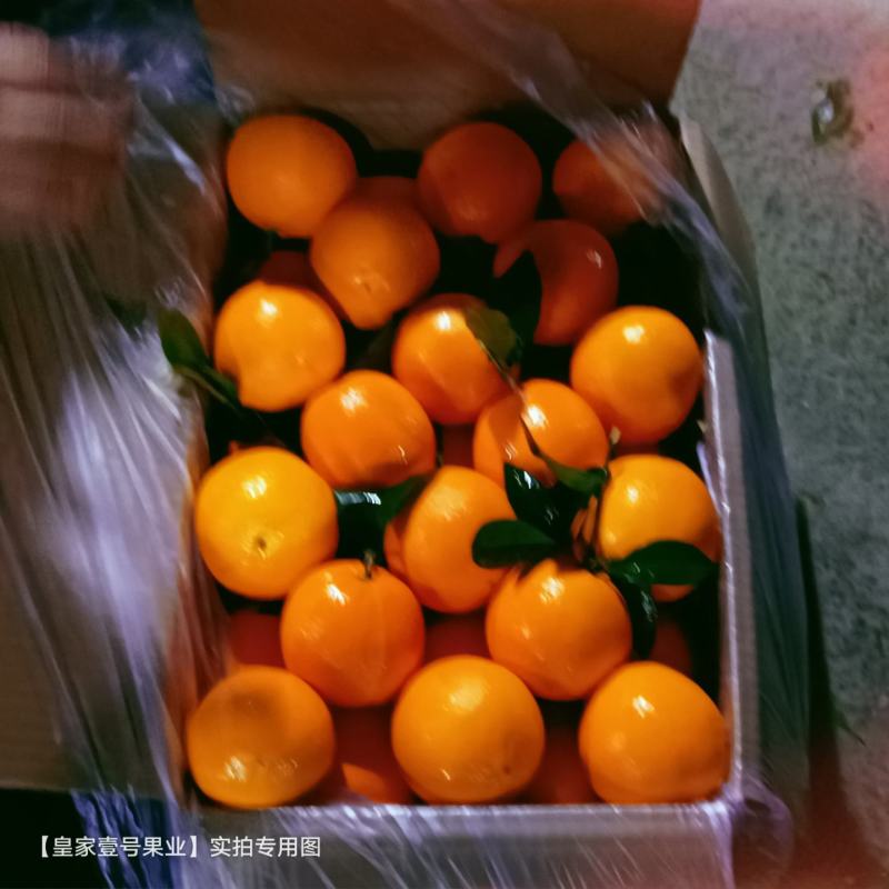 1纽荷尔脐橙湖北脐橙个头大口感甜质量三包全国发