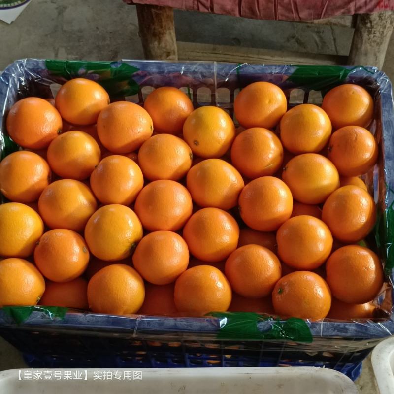 1纽荷尔脐橙湖北脐橙个头大口感甜质量三包全国发