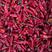 红椒15~20厘米微辣颜色红艳，货源充足欢迎进店选购