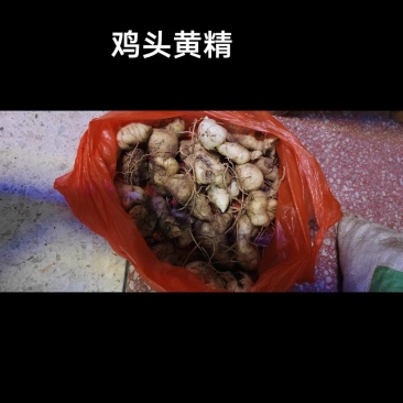 黄精