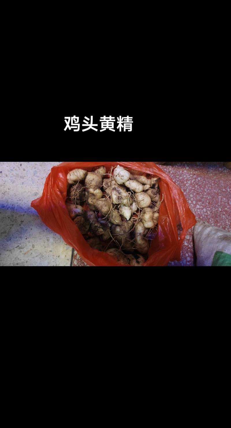 黄精