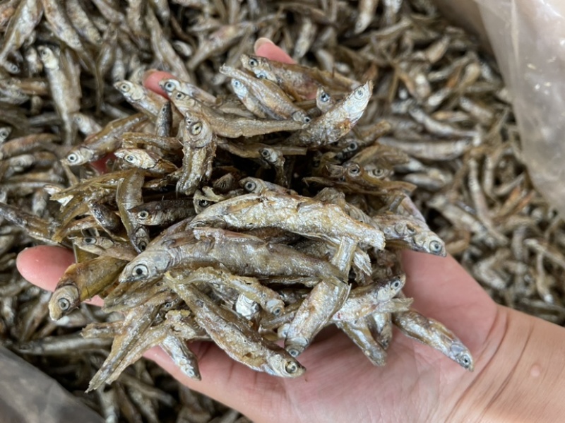 香酥小河鱼地摊展会批发淡水湖鱼白肖无盐不苦鱼干批发
