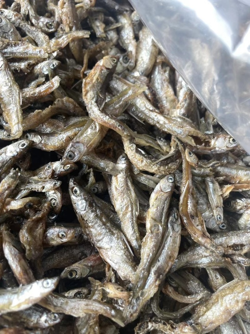 香酥小河鱼地摊展会批发淡水湖鱼白肖无盐不苦鱼干批发