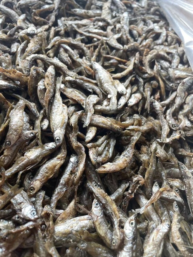 香酥小河鱼地摊展会批发淡水湖鱼白肖无盐不苦鱼干批发