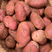 【优质】青海土豆货源稳定充足一条龙发往全国可致电详谈