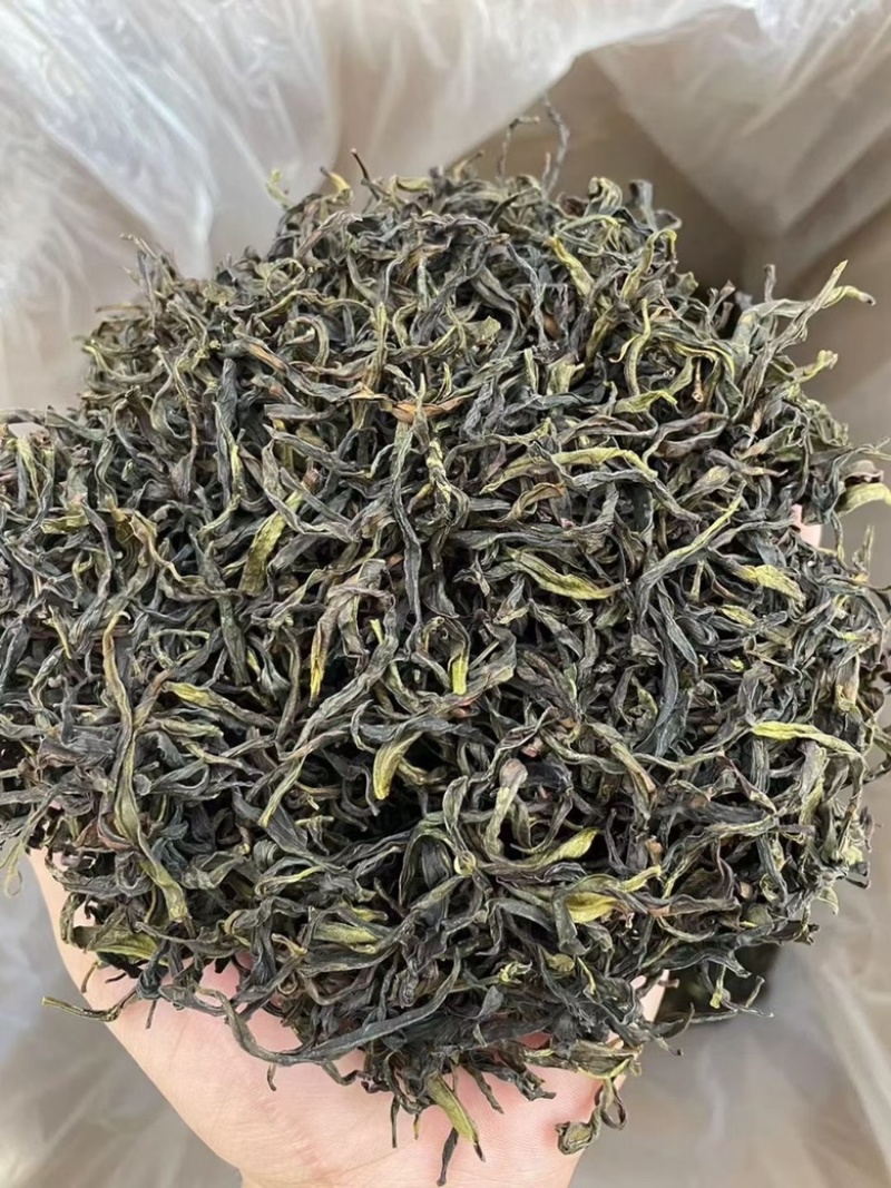 凤凰单丛茶