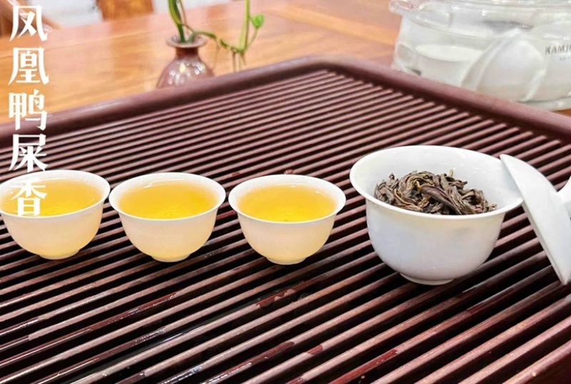碳焙高端定制