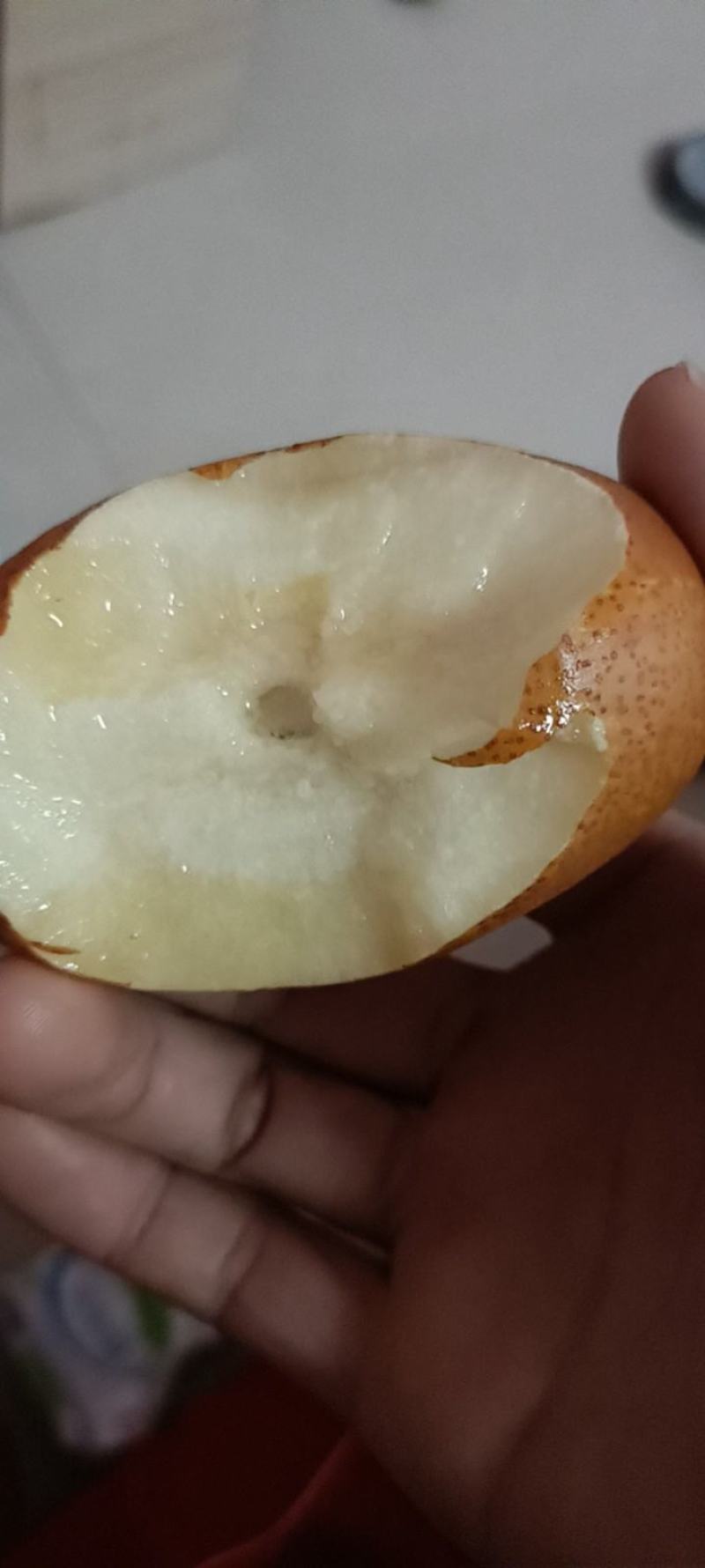 沙梨王，梨，洛宁金珠果沙梨王，药用红皮沙梨王