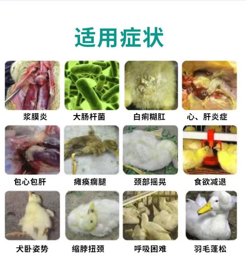 普旺厂家浆杆康