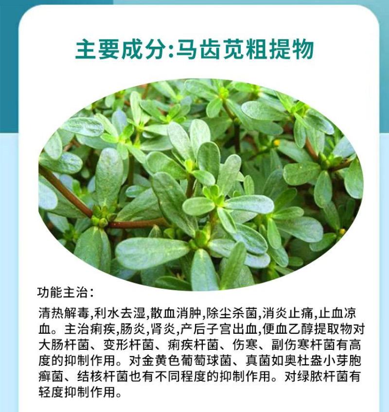 普旺厂家浆杆康