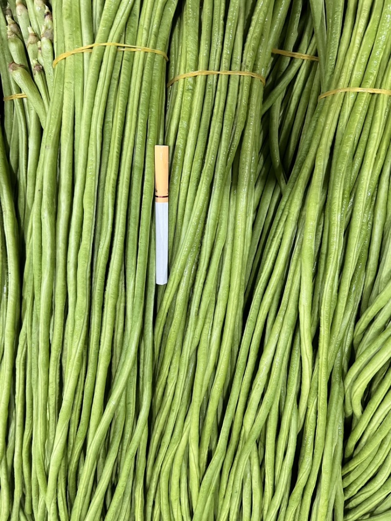 云南精品豇豆
