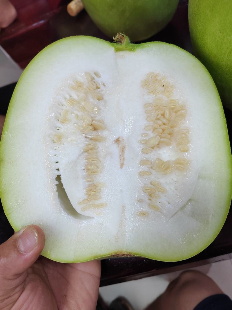 新品香芋冬瓜大量上市，欢迎新老客户！