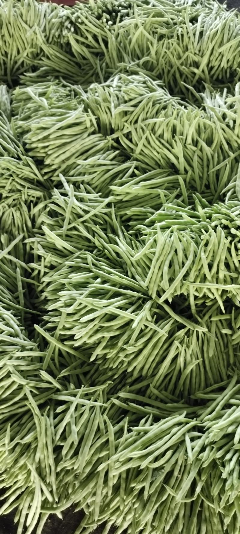 小金豆