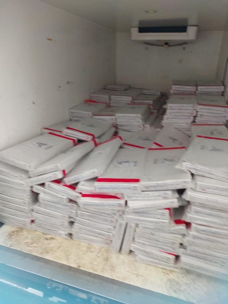 带鱼大量批发100件起批全国各地冷链直发质量保证精品