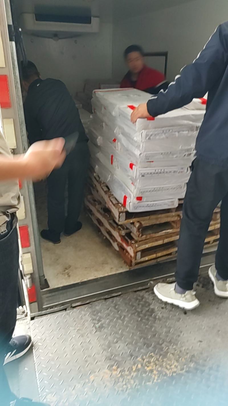 带鱼大量批发100件起批全国各地冷链直发质量保证精品