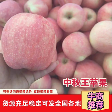 【实力】中秋王苹果-量大从优-价格优惠-可视频看货