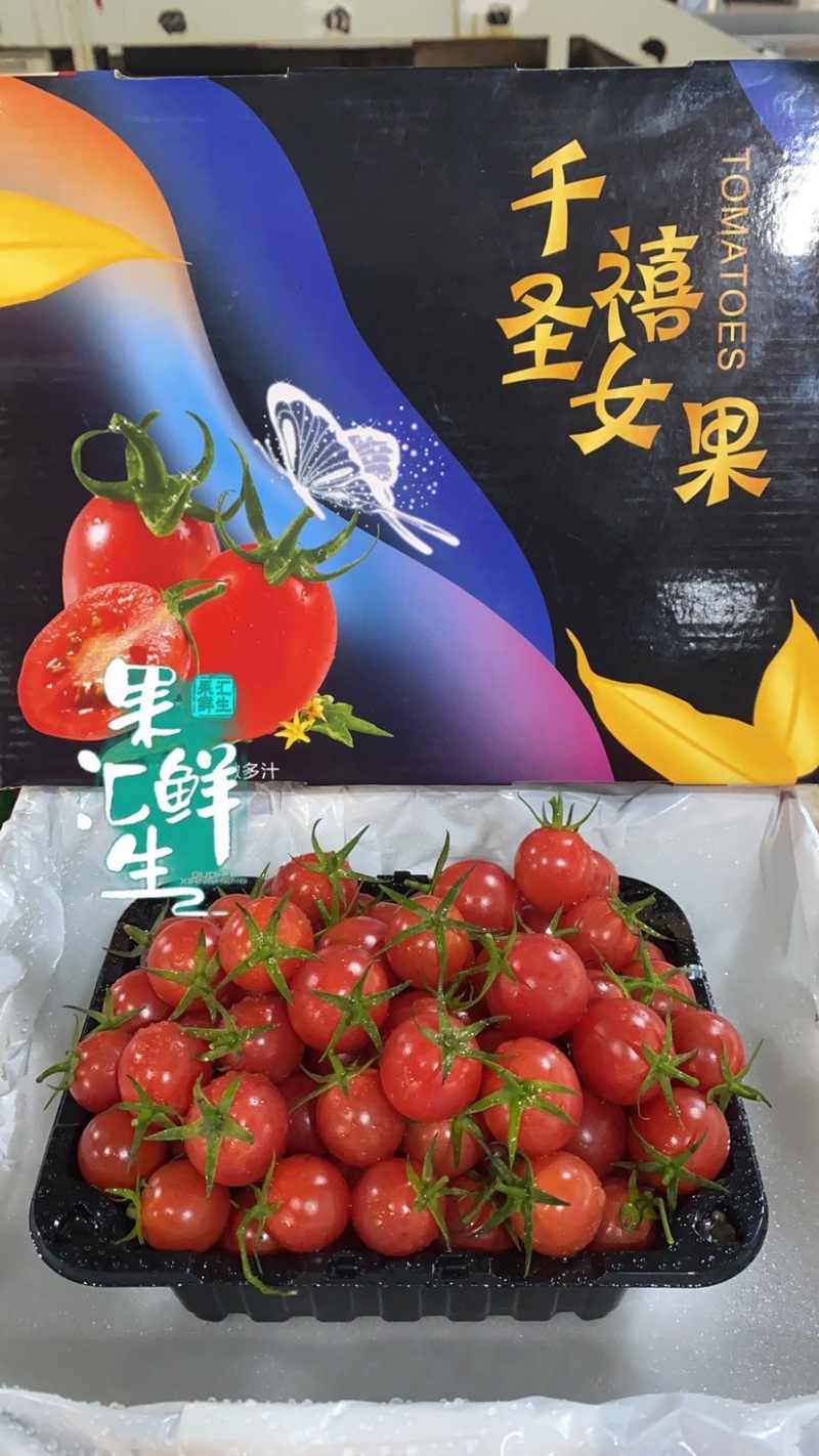 广东-电白千禧圣女果原产地直供【精品】平台团购批发礼盒装